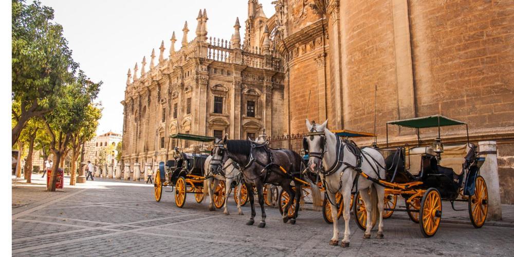 Chic Casa Cathedral At Calle Fresca 2-Bedroom Apartment In Malaga City Center Esterno foto